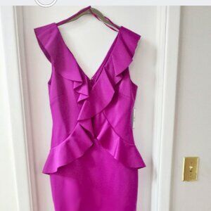 Jessica Howard Fuchsia Pink Long Peplum Gown MOB/MOG/Prom